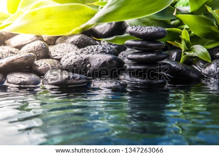 Zen Basalt