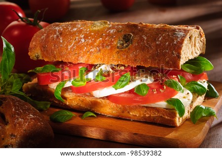 tomato, mozzarella, basil leaves and oregano ciabatta sandwich