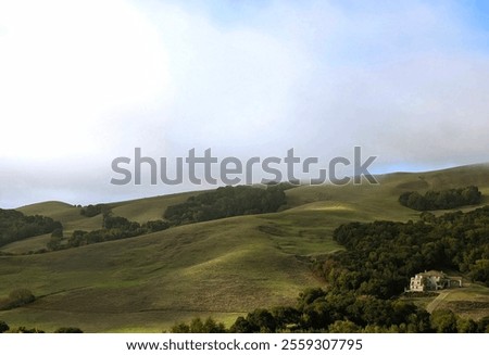 Similar – Foto Bild Portugal Umwelt Natur