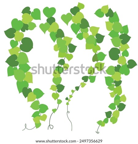 Ivy Vines stretched out on a white background. Plant, green vector illustration.