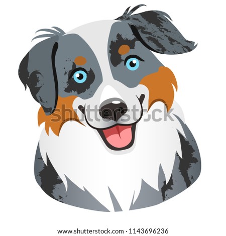 Australian shepherd dog face portrait cartoon illustration.  Cute friendly blue merle tricolor herding dog smiling with tongue out. Pets, dog lovers, animal themed design element isolated on white, 