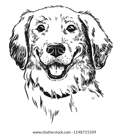 Labrador Dog Drawing | Free download on ClipArtMag