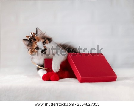 Similar – Image, Stock Photo A red tomcat sits in the undergrowth