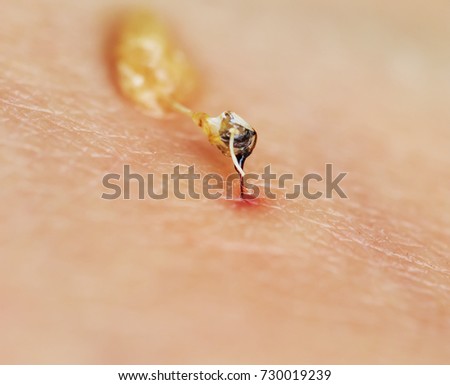 Similar – Image, Stock Photo wasps Wasps Insect Pierce