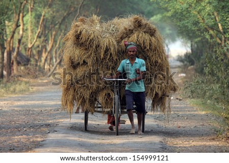 BAIDYAPUR, INDIA - DEC 01 : An unidentified rickshaw rider transports rice from the farm home on Dec 01, 2012 in Baidyapur, West Bengal, India.