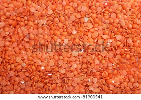Red Lentils (lens culinaris)