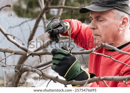 Image, Stock Photo Senior man pruning branches in back yard