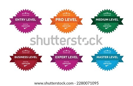 Organization Training Certification Badge Set, Certified Stamp For Company Members on Different Levels Seal With Premium Look