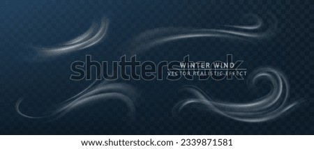 Winter wind air motion effect isolated on transparent background. Vector realistic symbol wind flows. Cold wind blow on transparent background.