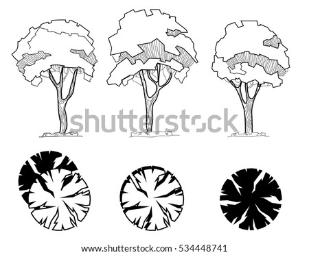 set of treetop symbols for architectural or landscape design different hand drawn trees isolated - Architecture Drawing Of Trees set of treetop symbols for architectural or landscape design different hand drawn trees isolated - Architecture Drawing Of Trees