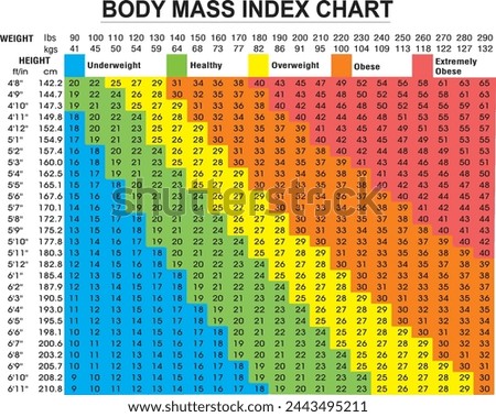 Body Mass Index chart for biker Checking Your Body Mass Index Vector Illustration design use for banner flyer and bike shop display 