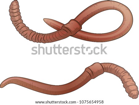 Realistic Earthworm Drawing