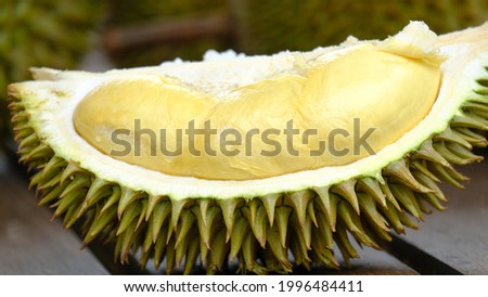 Lotusz Cement Megteszi Jackfruit Durian Hybrid Kiptonac Org