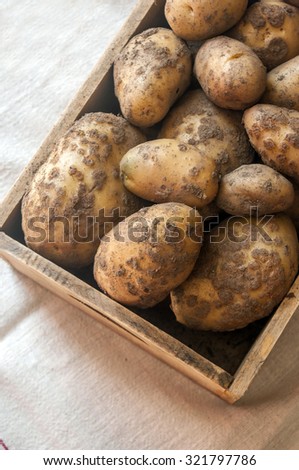 Raw Organic Golden Potatoes in the Wooden Crate on white background