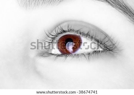 Great big  brown eye of a women