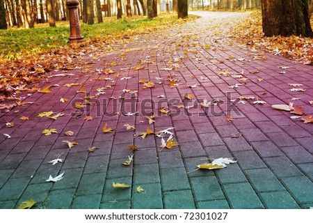 Stock Photo: brick road in the park covered with yellow fallen leaves