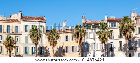Image, Stock Photo Marseille / palm tree behind houses