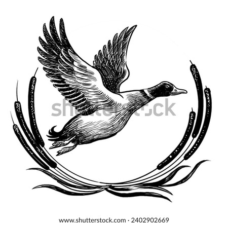 Similar – Image, Stock Photo Black duck on lake in mountains