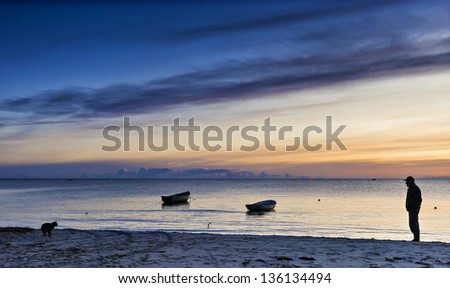 Silhouettes of cat and man at colorful dawn on sandy beach of the Baltic Sea