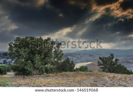 Biblical hills of Jerusalem just before rain, Israel