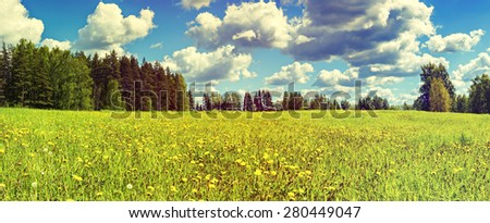 Panoramic landscape with field of blossoming dandelions. Image toned for inspiration of vintage style