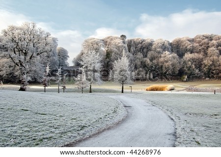 photo winter scenic nature capture of forest walk in ireland