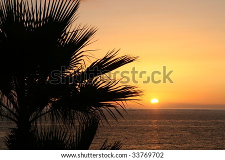 sunset in playa de las americas