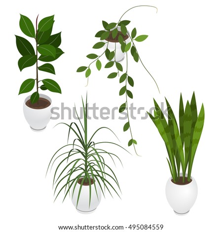 Set of potted indoor, office and house plants. Collection of 3d flower pots with plate. Isometric vector illustration
