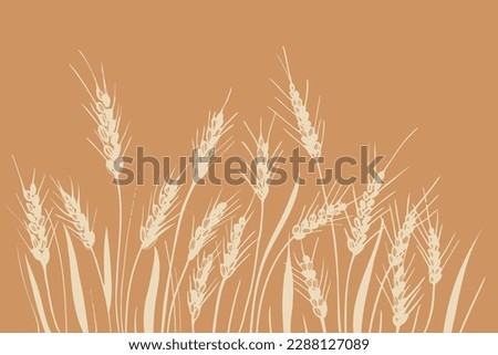 Field of ears of wheat. Heap of ears of wheat, dried whole grains. Cereal harvest, agriculture, organic farming. Background from ears of wheat drawn by hand. Design element.Vector