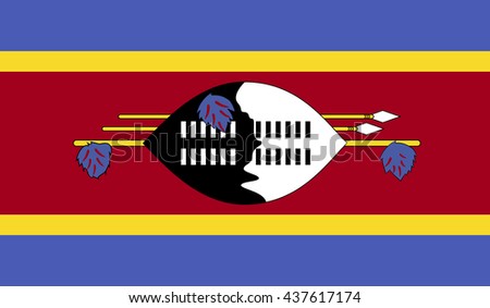 
Swaziland flag 
