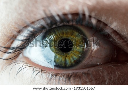 The close up shot of human eye. The human eye is a paired sense organ that reacts to light and allows vision.