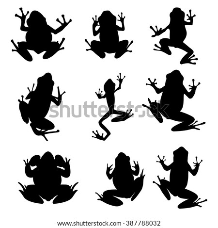 Frog Outline | Free download on ClipArtMag