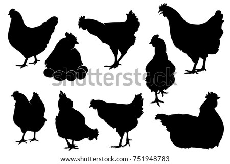 hen chicken silhouette set