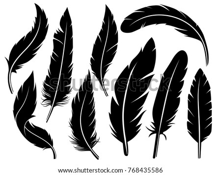 detailed majestic feather collection