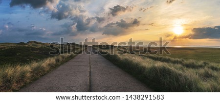 Foto Bild Dünenlandschaft mit Moos und Gras am Vormittag auf der Insel Sylt