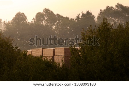 Similar – Foto Bild Holzvorrat hinter Bäumen