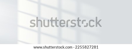 Light shadow on wall. Window shadow and light or sunlight overlay background. Vector background