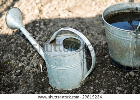 An iron bucket and a watering-can full of fresh water on the ground in a peasant\'s kitchen garden