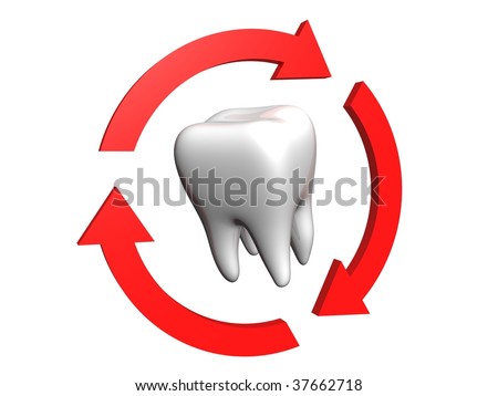 Human tooth rounded red arrows
