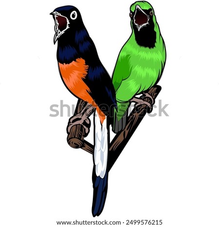 graphic vector illustration, typical Indonesian birds magpie batu and green cucak suitable for use as additional material for logo designs or t-shirt designs 