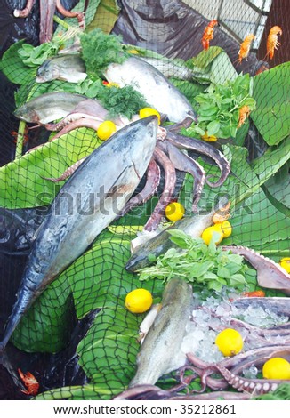 Seafood decorated in a fishing net