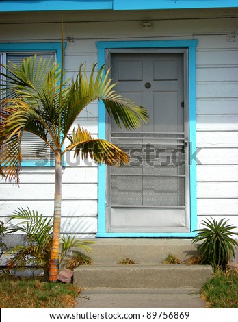 front porch and door of home with palm tree