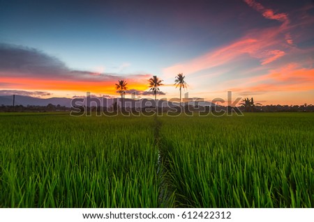 Shutterstock - PuzzlePix