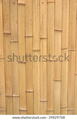 bamboo background detail of a bamboo fence