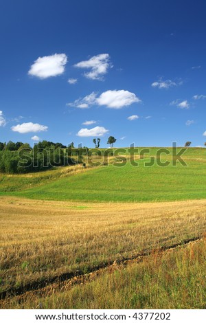 idyllic summer scenery, focus is set in foreground