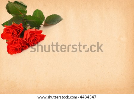 page of old paper with decorative roses motive, large copy space for your content