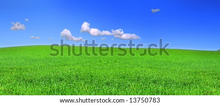 beautiful panoramic view of peaceful grassland, blue sky above