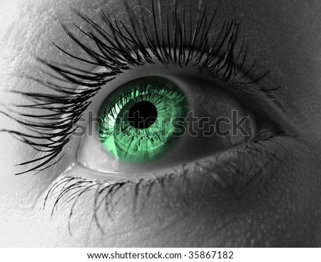 Glamorous green eye extreme close-up.