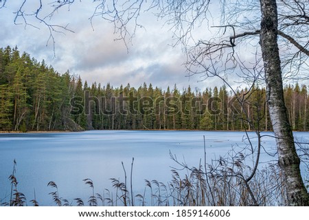 Similar – Foto Bild Gefrorener Haukkalampi-See an bewölktem Tag im Nuuksio Nationalpark