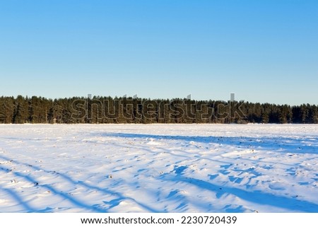 Similar – Image, Stock Photo Field covered with snow in winter